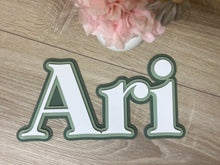 Load image into Gallery viewer, Triple Layered Acrylic Name Wall Plaque

